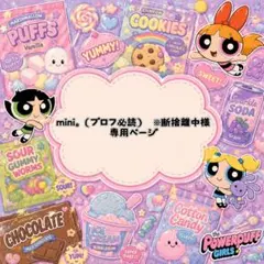 mini。（プロフ必読）　※断捨離中様 専用ページ