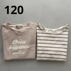 120 Tシャツ　2枚セット