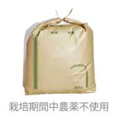 訳あり中粒ヒノヒカリ｜農薬不使用｜20kgのサムネイル
