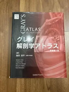 グレイ解剖学アトラス