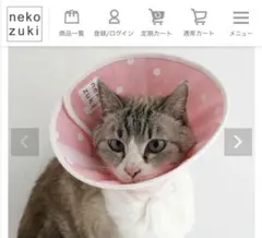 Item thumbnail for item 4bbab5a8-7e87-4307-9a74-964c9d4d7f59