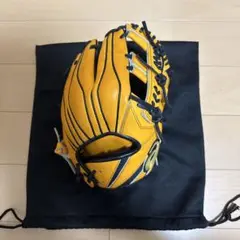 asics GOLD STAGE 軟式グローブ
