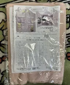 未使用　片山あゆ子　クローゼット（洋服ダンス）