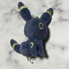 へんしんメタモン　ブラッキー ポケモンセンター