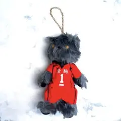 貴重 ハイキュー TO THE TOP イメージ ベア ぬいぐるみ 黒尾鉄朗