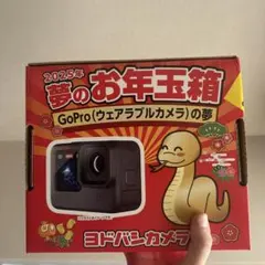 GoProヨドバシお年玉箱 ヨドバシカメラ 2025年 夢のお年玉箱 GoPro(ウェアラブルカメラ
