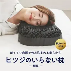 POLA オルガヘキサ サーキュラーメンテナンス枕 - メルカリ