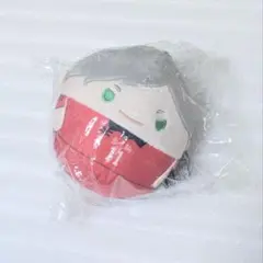 ハイキュー　ふわコロりん 灰羽リエーフ　ぬいぐるみ　ちびぐるみ　のるキャラ