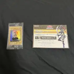 カオス・ソルジャー