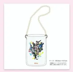 【新品未開封】パルクロすっきゃねんず”ストラップ付マルチケース