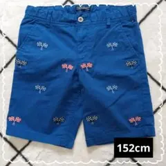 TOMMY HILFIGER トミーヒルフィガー 青 短パン 152cm