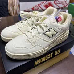 新品未使用品 シュプリーム DC shoes 28.5 ベージュ supreme - メルカリ
