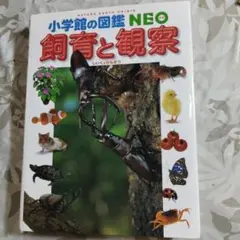 飼育と観察