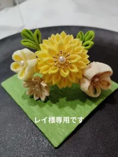 レイ様専用ページです