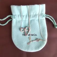 Tiffany&Co.パロマピカソ牡羊座ネックレス。