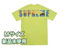 Item thumbnail for item db7372cf-7c51-4c4c-bb4a-190e41d8234c