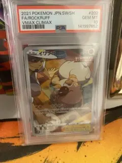 イワンコAR(PSA10) - メルカリ