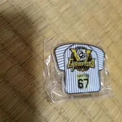 高寺 67 チャンピオンシャツデザイン