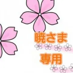 【停止中】暁さま専用