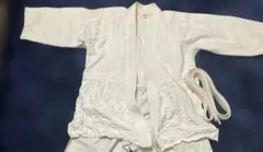 Item thumbnail for item 3690ff2b-d488-4ad1-a176-195db68cfeb4