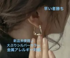 シルバー　フープピアス サージカルステンレス シンプル 金属アレルギー対応