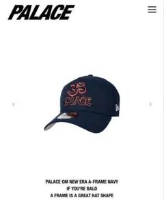 Palace 1 Truth Trucker 