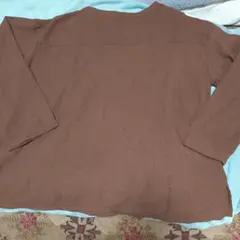 大きいサイズ３Ｌブラウン 厚手 長袖トップス