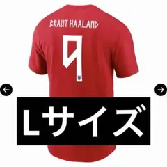 Nike ノルウェー代表 ハーランド Tシャツ Norway home tee