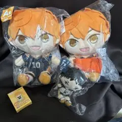 ハイキュー　セット
