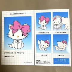 サンリオキャラクターズ 証明写真風 スマロイド NG集 チャーミーキティ
