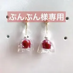ぶんぶん様専用ページ☆