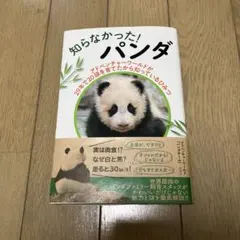 パンダ様 リクエスト 2点 まとめ商品 j.pan.29様 リクエスト 2点 まとめ商品 - メルカリ