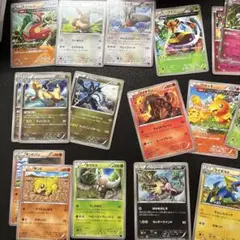 超希少】初めてセット収録カロス御三家 進化ライン 引退品 - メルカリ