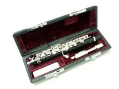 Item thumbnail for item 3a4c45ab-ea2a-4f03-bda0-dd11fe5b72b5