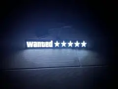 wanted ★★★★★ グラセフ ELプレート LED JDM USDM