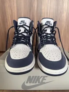 Nike Air Jordan 1 High OG CO.JP