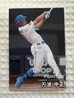 2026年 カルビープロ野球チップスカード - メルカリ