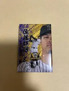 佐藤輝明 記念グッズ