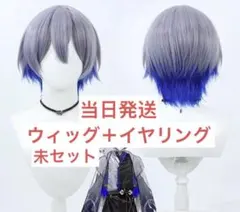 【当日発送】vtuber にじさんじ 小柳ロウ ろう 変身コスプレ ウィッグ