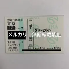 【現地的中】単勝馬券 2020年 ジャパンカップ アーモンドアイ 引退レース！のサムネイル