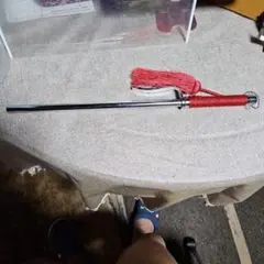 Item thumbnail for item 8ecb052b-75b1-4f6e-8b69-7e6adea9aeae