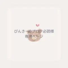 ぴんきー@プロフ必読様専用ページ