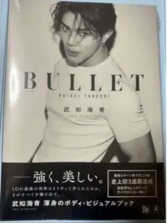 武知海青 ボディ・ビジュアルブック BULLET