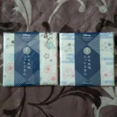 Disney 抗菌ニットふきん 2枚セット