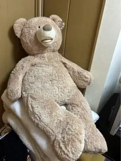 【コストコくま】Hugfun 53インチ グレー グレージュ　135cm 楽天市場】送料無料】全長135cm超大型くまのぬいぐるみ/ライト