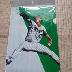 Tigers ITOH選手 27番 クリアファイル