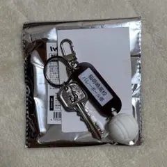 ハイキュー 鍵チャームキーホルダー 稲荷崎高校