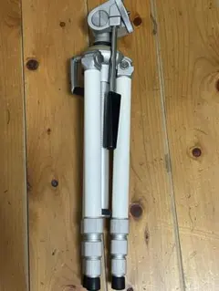 Item thumbnail for item 48575da3-e910-49c4-8569-764109a052fa