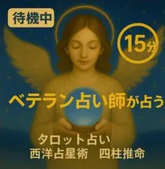 特別価格！　チャット鑑定　15分　占い放題　ジャンルフリー