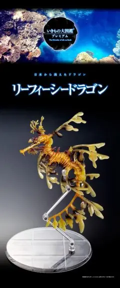 2025年最新】リーフィーシードラゴンの人気アイテム - メルカリ